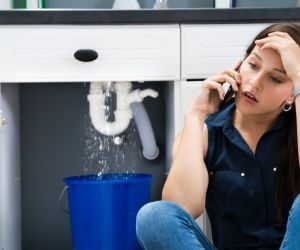 About Plumbers Pros Isabela, PR